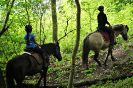 Ośrodek konny Adventure Park Kolibki